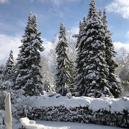 Traumhaftes Direkt Am Tegernsee Rottach-Egern
